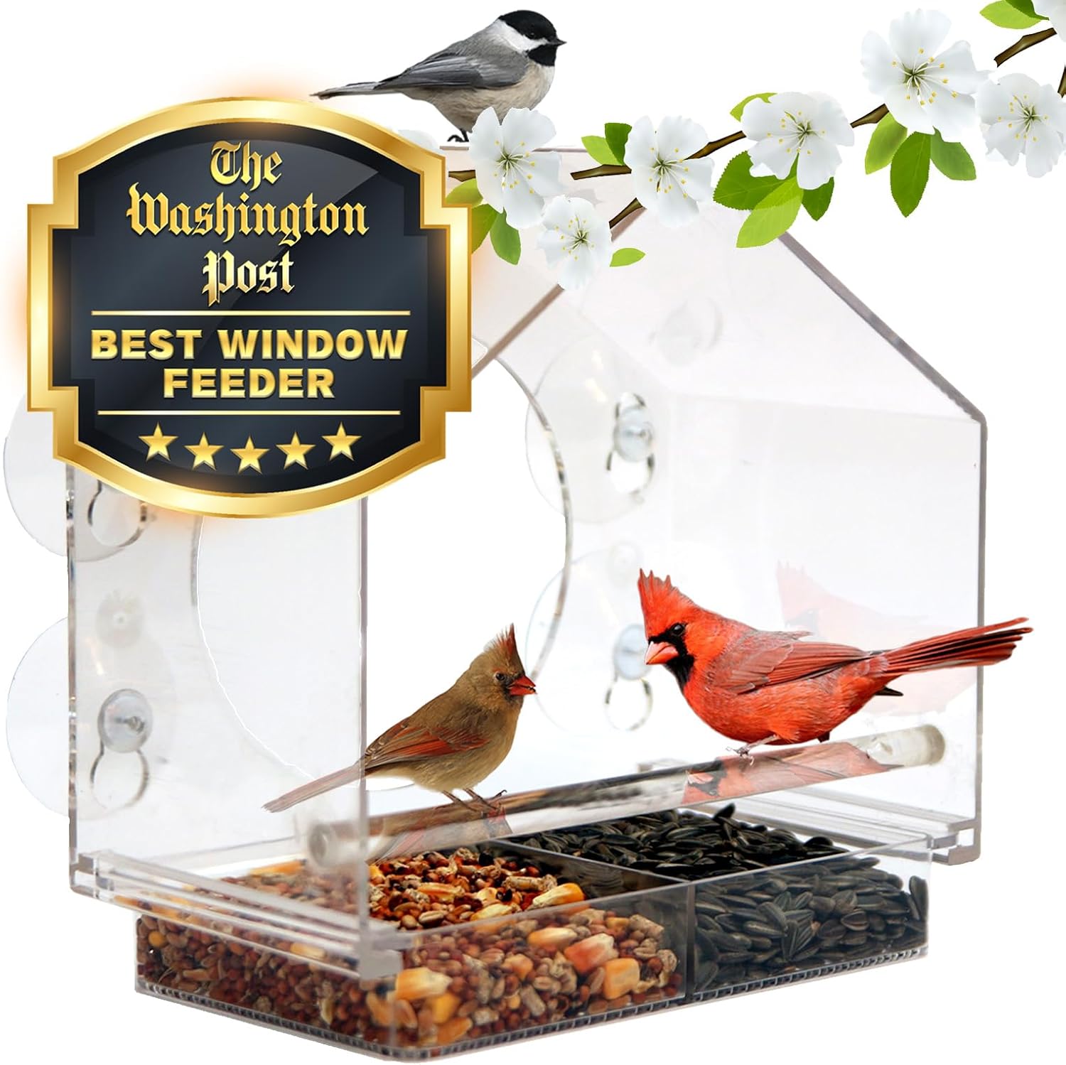 Clear View Window Bird Feeder