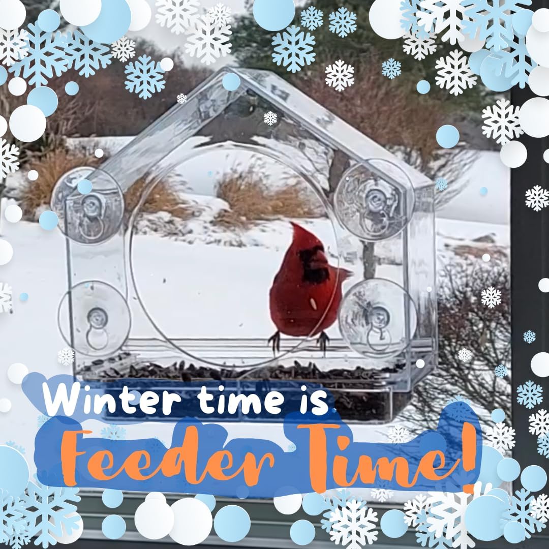 Clear View Window Bird Feeder