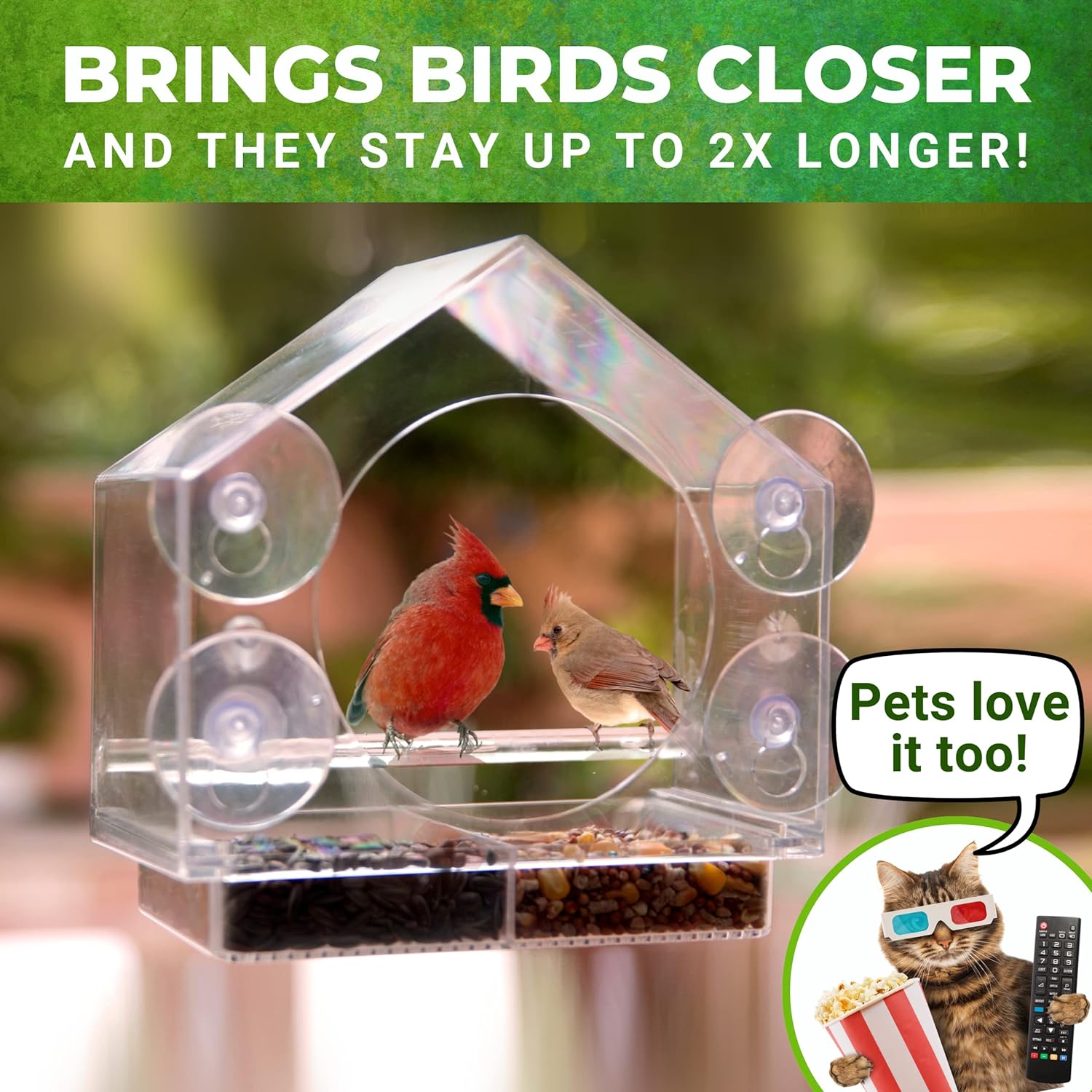 Clear View Window Bird Feeder