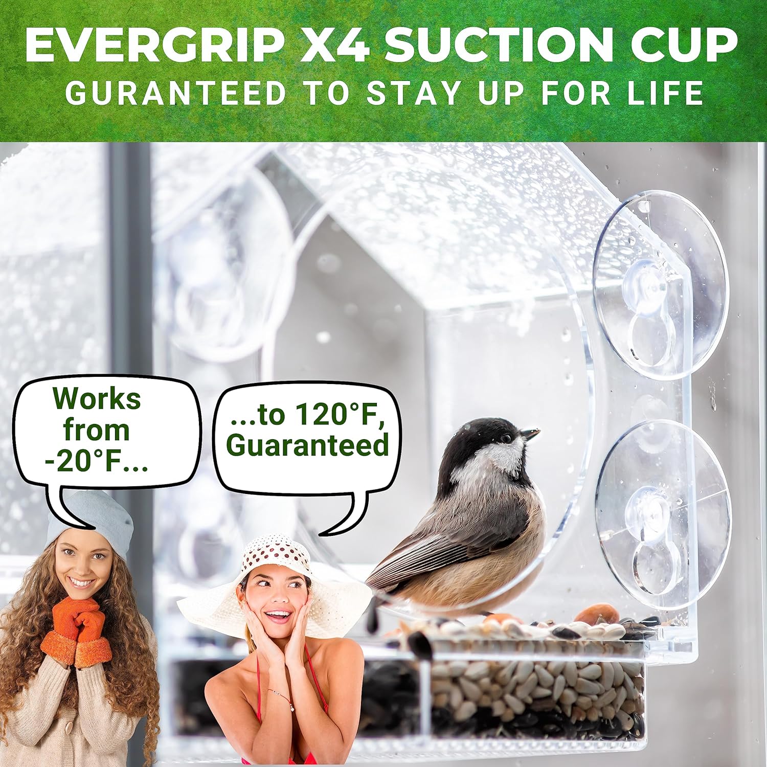 Clear View Window Bird Feeder